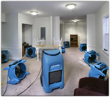Water Damage Restoration services in Progreso, TX